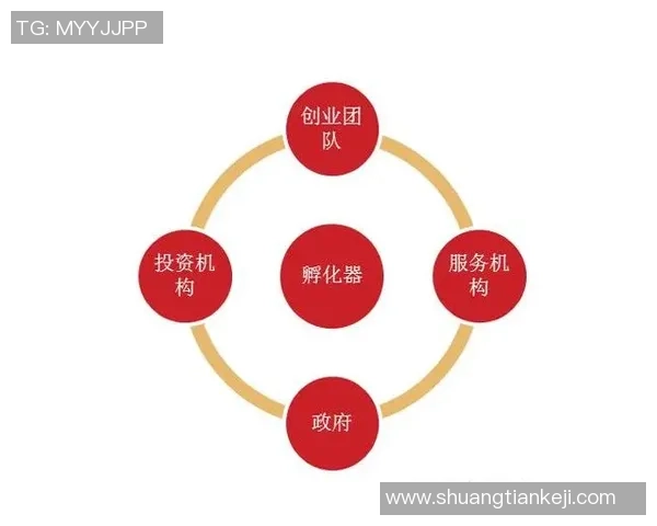 深圳篮球队的控制革新探索与未来发展路径分析