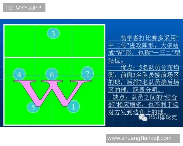 西安排球队战术解析与排球技战术的深度探讨