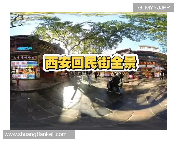 西安羽毛球队阵地战全景解析与发展趋势探讨